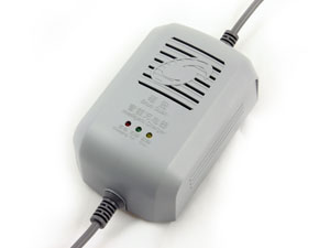 Electric Vehicle Battery Charger 1 21011K32441